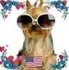 lindajenning366